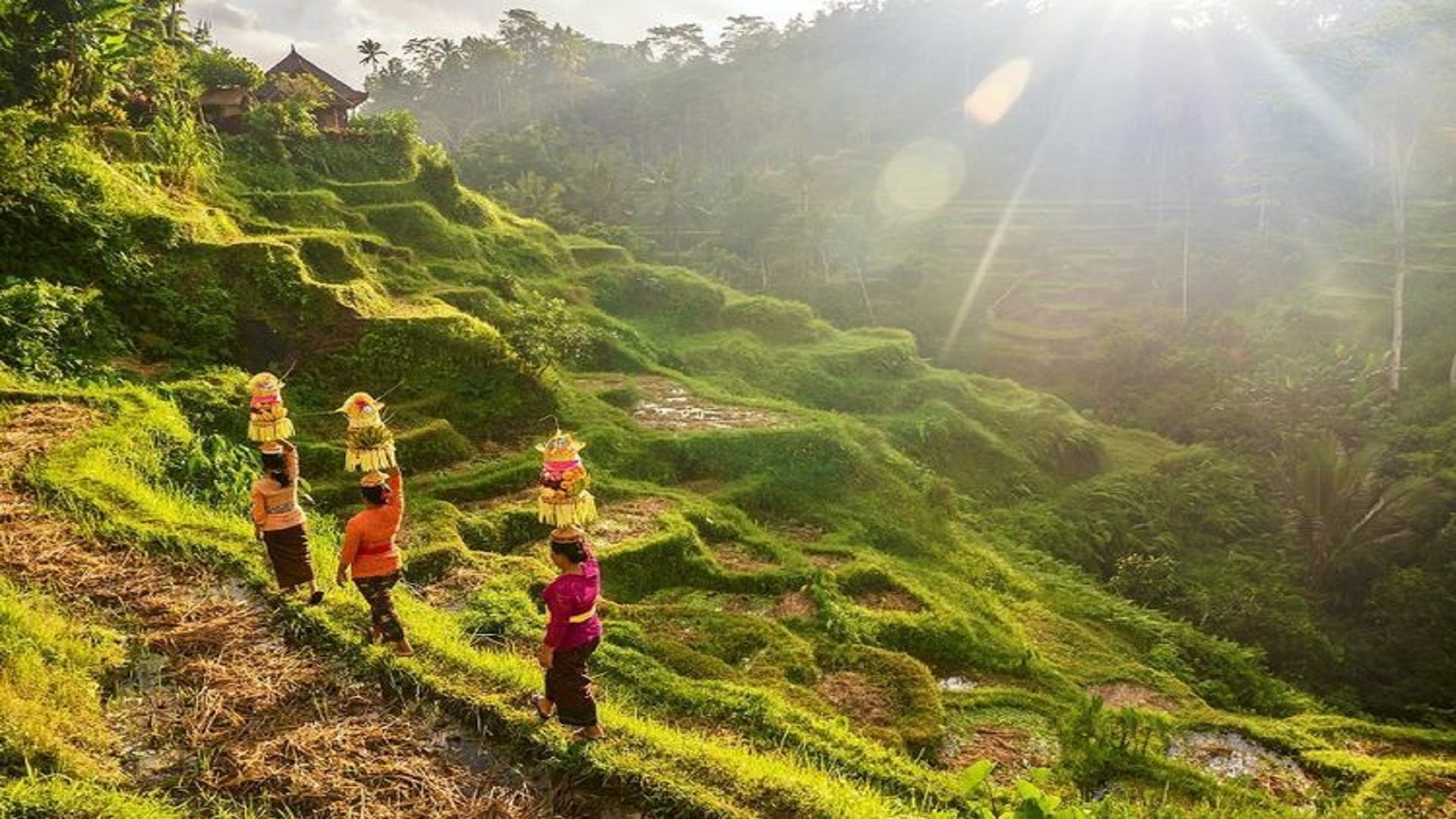 Ubud Bali Kota Wisata Terbaik Nomor Empat Di Dunia